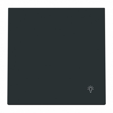 NIESSEN 2CLA880420A1501 2CLA880420A1501 8804.2 NT NIESSEN NT light push button